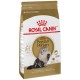 ROYAL CANIN FELINE HEALTH NUTRITION PERSIAN