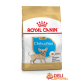 ROYAL CANIN CHIGUAGUA PUPPY