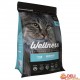 WELLNESS URINARY CAT GRAIN FREE